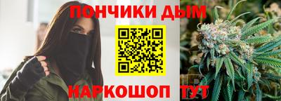 мдпв Кингисепп