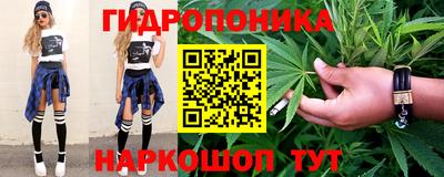 мдпв Кингисепп