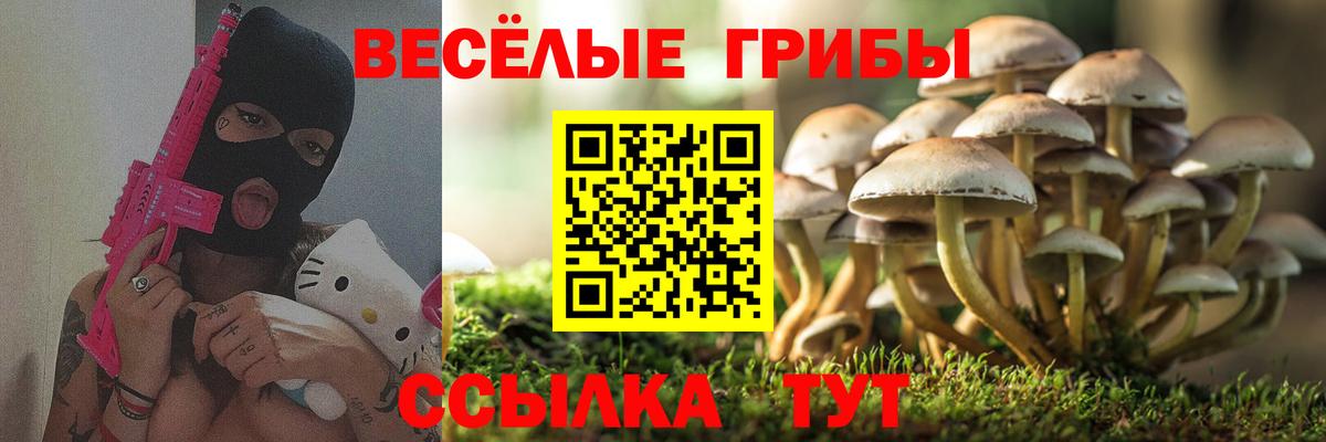 Галлюциногенные грибы ЛСД  Вход с VPN  Армавир 